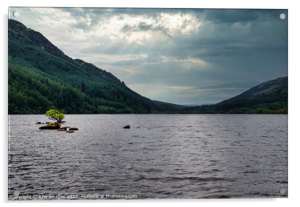 Rooted Solitude on Loch Eck Acrylic by RJW Images
