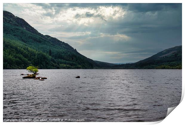 Rooted Solitude on Loch Eck Print by RJW Images