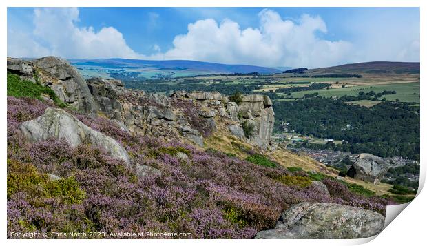 Cow and Calf rocks on Ilkley Moor Print by Chris North