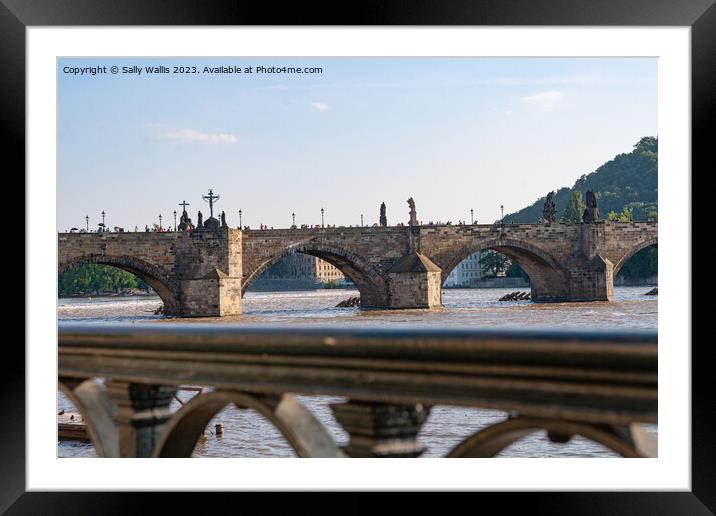 The Charles Bridge, Prague Framed Mounted Print by Sally Wallis