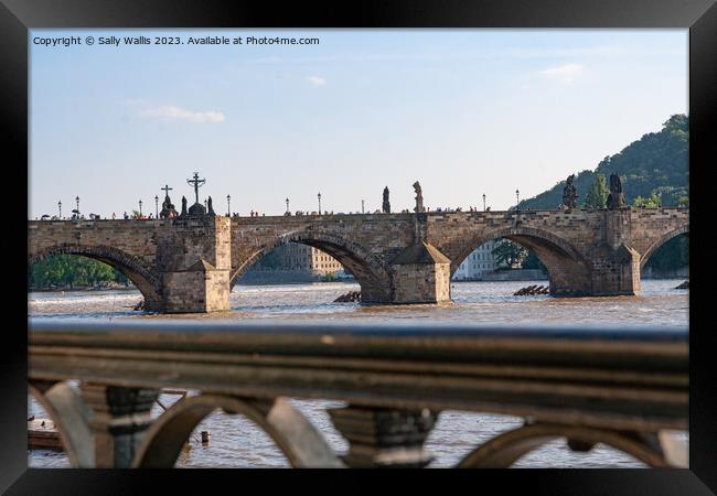 The Charles Bridge, Prague Framed Print by Sally Wallis