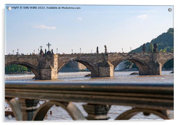 The Charles Bridge, Prague Acrylic by Sally Wallis