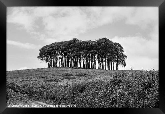 The Welcome Home or Nearly  trees monochrome Framed Print by Diana Mower