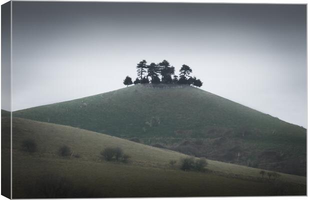 Enchanting Colmers Hill on Misty Day Canvas Print by Mark Jones