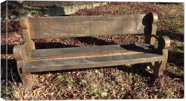 Wooden park bench in nature. Wooden bench has a backrest Canvas Print by Irena Chlubna