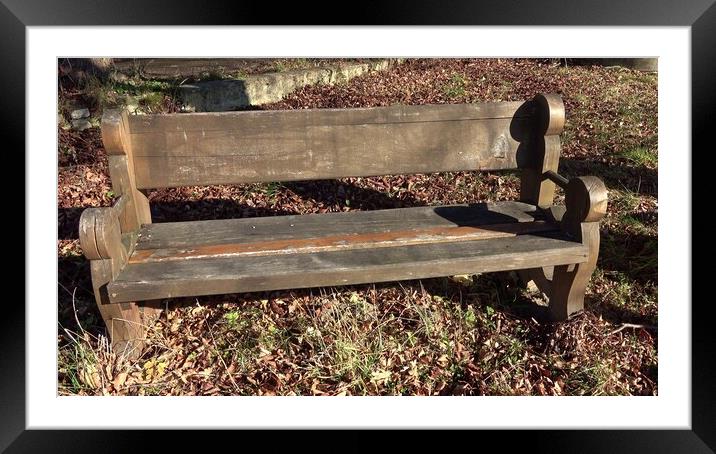 Wooden park bench in nature. Wooden bench has a backrest Framed Mounted Print by Irena Chlubna
