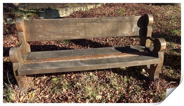 Wooden park bench in nature. Wooden bench has a backrest Print by Irena Chlubna
