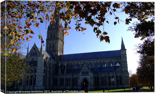 Salisbury Cathedral Canvas Print by Andrew Middleton