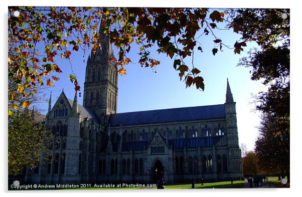 Salisbury Cathedral Acrylic by Andrew Middleton