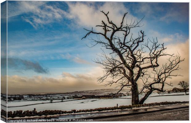 Winter Tree in the Yorkshire Landscape Canvas Print by Richard Perks