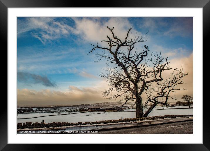Winter Tree in the Yorkshire Landscape Framed Mounted Print by Richard Perks