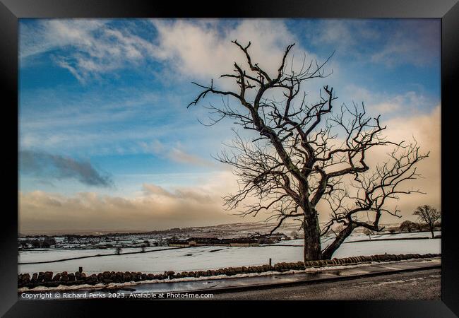 Winter Tree in the Yorkshire Landscape Framed Print by Richard Perks