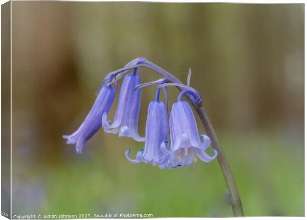 Bluebell close  up Canvas Print by Simon Johnson