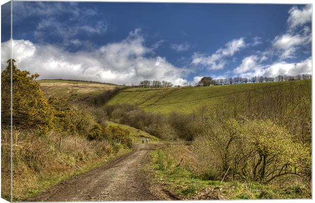Hiking on Exmoor Canvas Print by Mike Gorton
