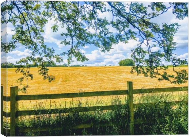 Glorious Golden Cornfield Canvas Print by Peter Lewis