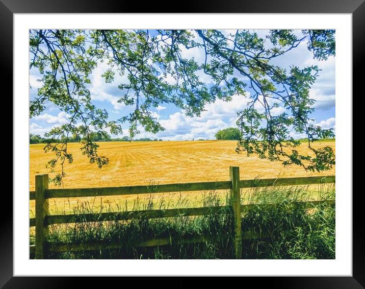Glorious Golden Cornfield Framed Mounted Print by Peter Lewis
