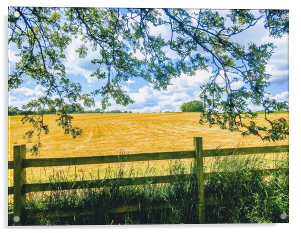 Glorious Golden Cornfield Acrylic by Peter Lewis
