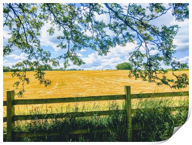 Glorious Golden Cornfield Print by Peter Lewis