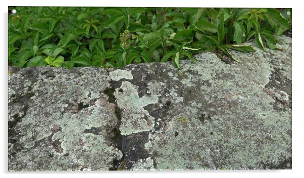 Natural rustic background texture pattern with lichen and ivy formed on an old slab of stone. Acrylic by Irena Chlubna
