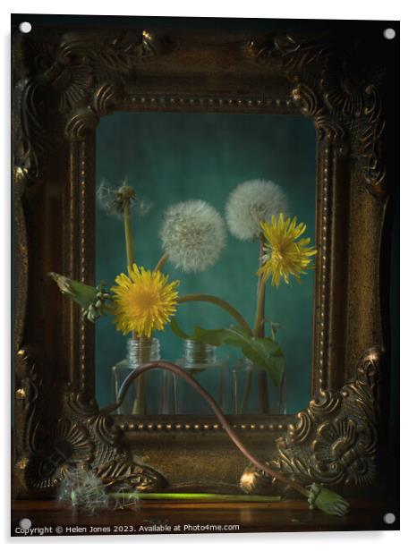 Still lifecycle of dandelions Acrylic by Helen Jones