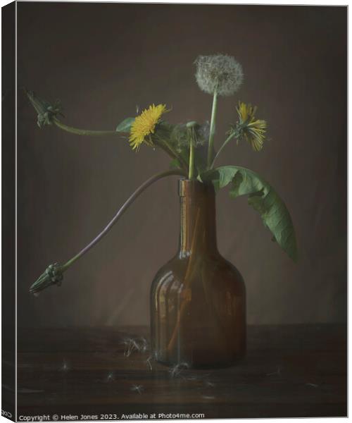 Dandelions in a bottle Canvas Print by Helen Jones
