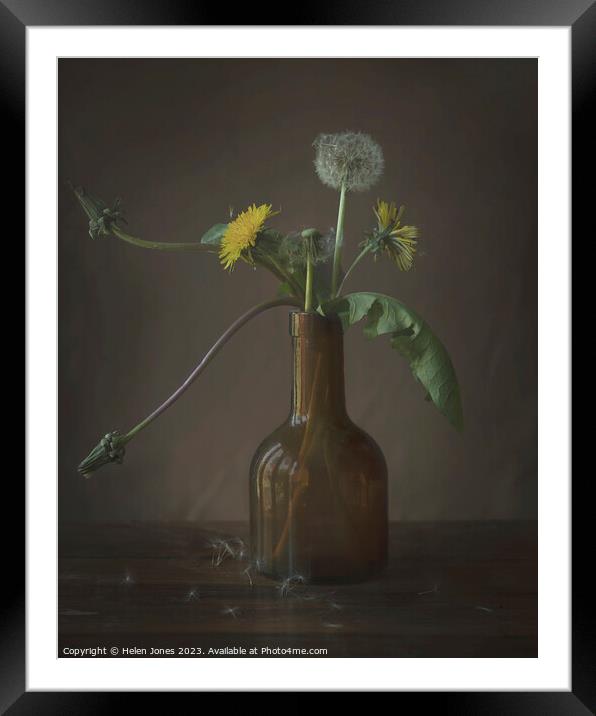 Dandelions in a bottle Framed Mounted Print by Helen Jones