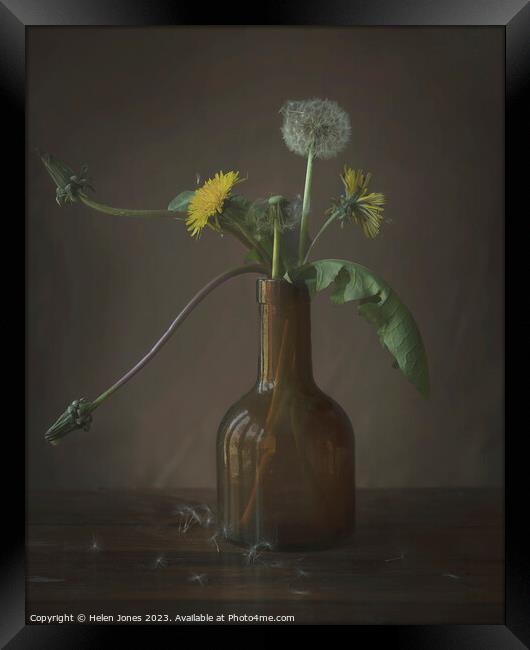 Dandelions in a bottle Framed Print by Helen Jones