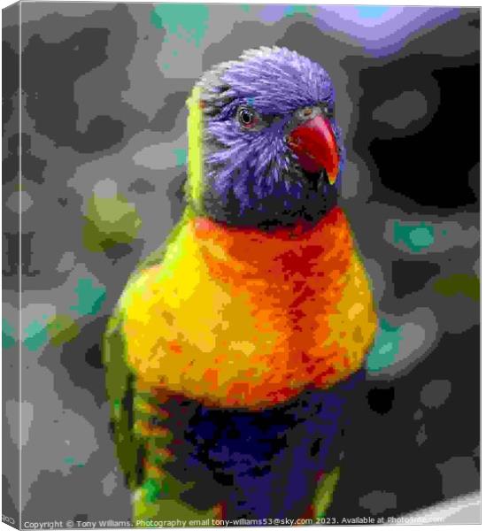 Rainbow Lorikeet Canvas Print by Tony Williams. Photography email tony-williams53@sky.com