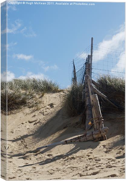 Landscape, Fence Posts, Desiccated, Sand dunes, Canvas Print by Hugh McKean