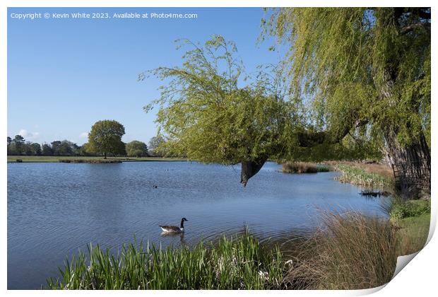 Relaxing by the pond on an early spring morning Print by Kevin White