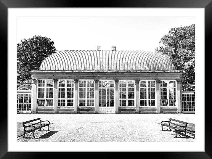 An Elegant Victorian Greenhouse   Framed Mounted Print by Peter Lewis