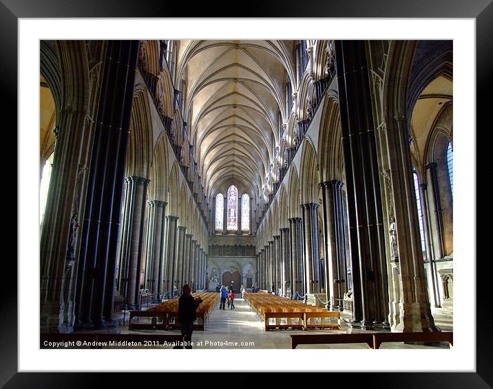 Salisbury Cathedral Framed Mounted Print by Andrew Middleton