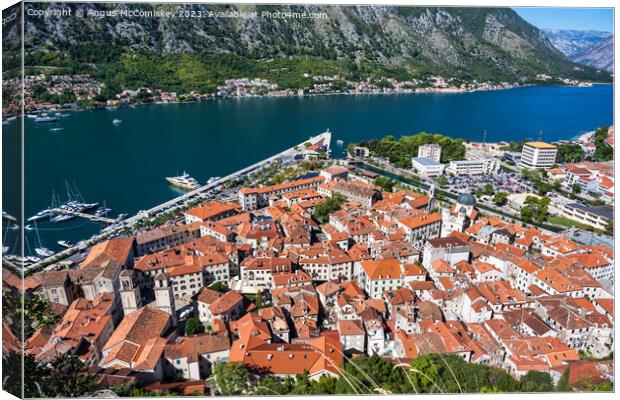 Kotor old town on the Bay of Kotor in Montenegro Canvas Print by Angus McComiskey