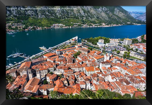 Kotor old town on the Bay of Kotor in Montenegro Framed Print by Angus McComiskey