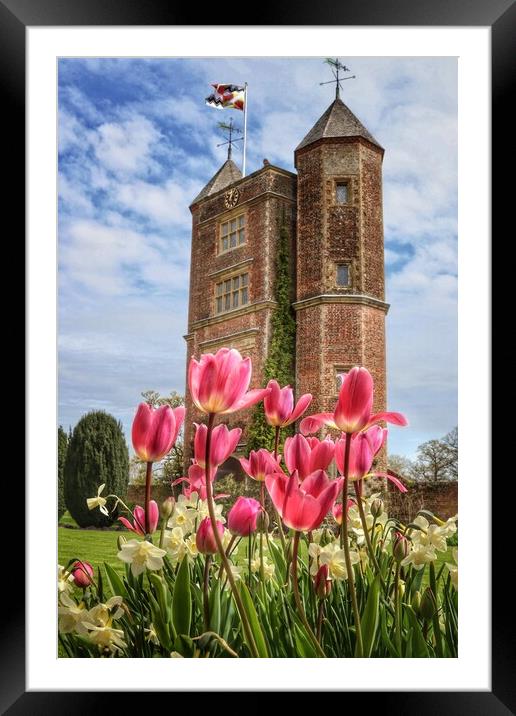 Sissinghurst castle tulips on a sunny day  Framed Mounted Print by Tony lopez