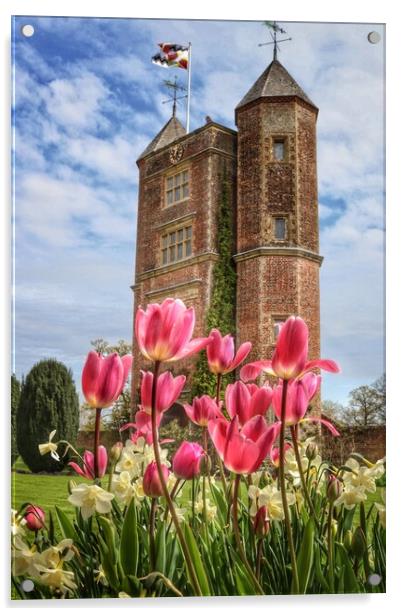 Sissinghurst castle tulips on a sunny day  Acrylic by Tony lopez