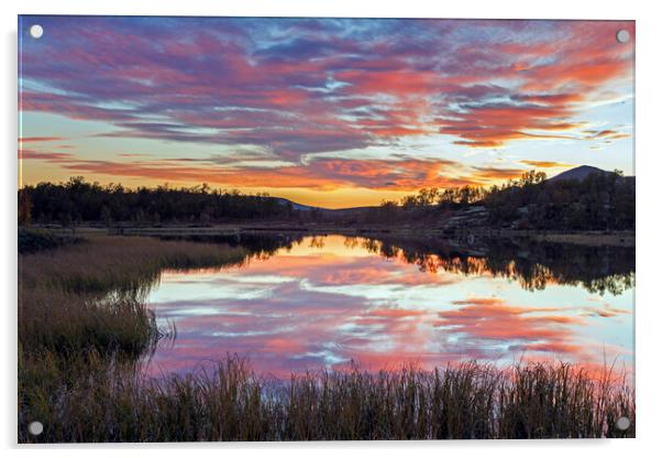 Fokstumyra Nature Reserve at Sunset, Norway Acrylic by Arterra 