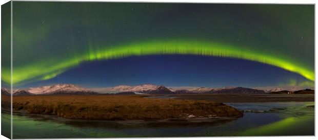 Northern Lights in Iceland Canvas Print by Arterra 