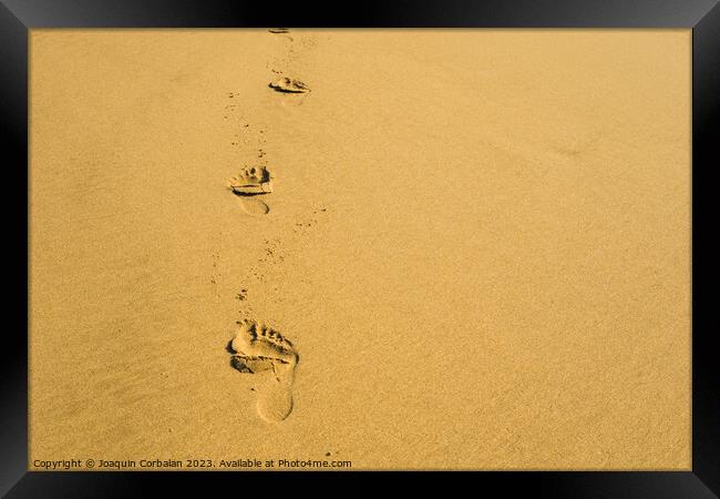 Shoreline, delicate footprints bear witness to a moment of caref Framed Print by Joaquin Corbalan