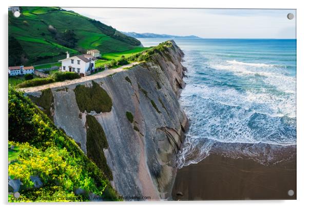 View of the coast and cliffs of Zumaia a nice sunny day. Acrylic by Joaquin Corbalan