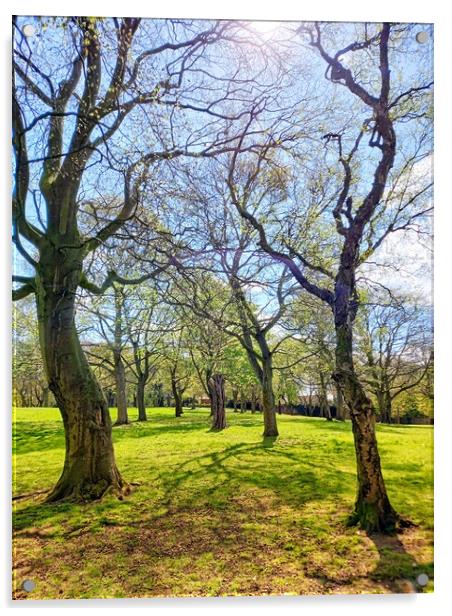 Perspective of trees and shadows Acrylic by Peter Lewis