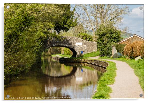 Serene Scene on Monmouthshire and Brecon Canal Acrylic by Pearl Bucknall