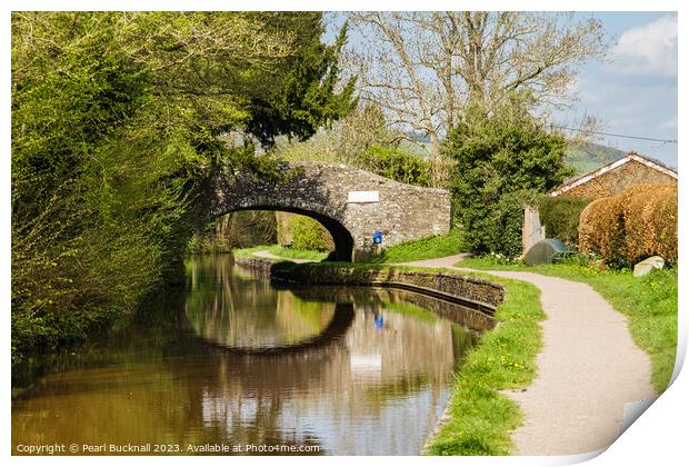 Serene Scene on Monmouthshire and Brecon Canal Print by Pearl Bucknall