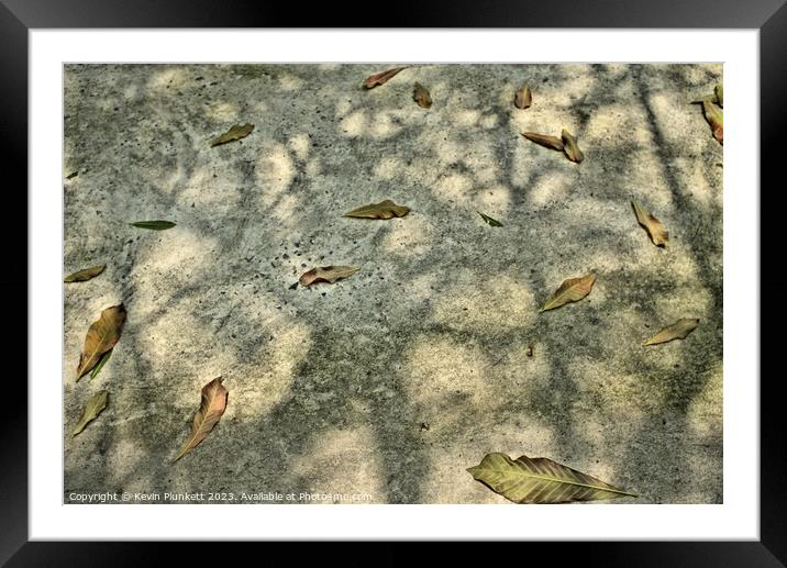 Leaf's and shadows on Saigon ( Ho Chi Minh City ) sidewalk Framed Mounted Print by Kevin Plunkett