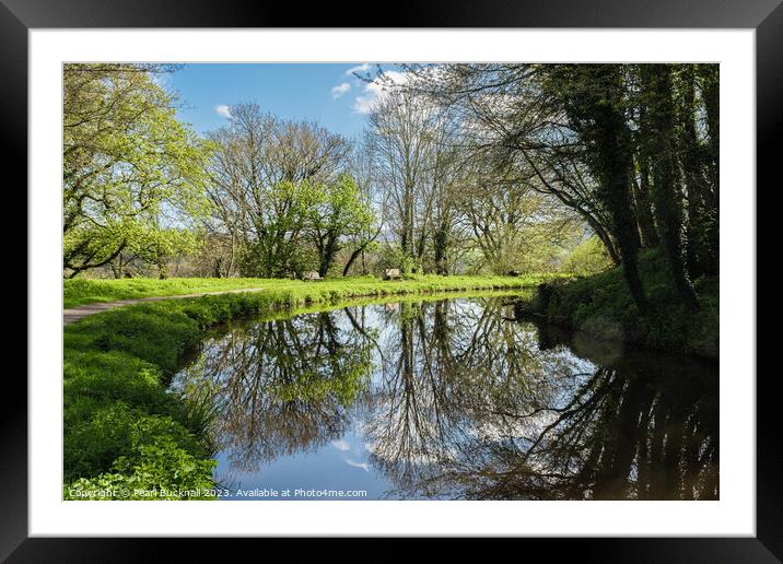 Serene Scene on Monmouthshire and Brecon Canal Framed Mounted Print by Pearl Bucknall