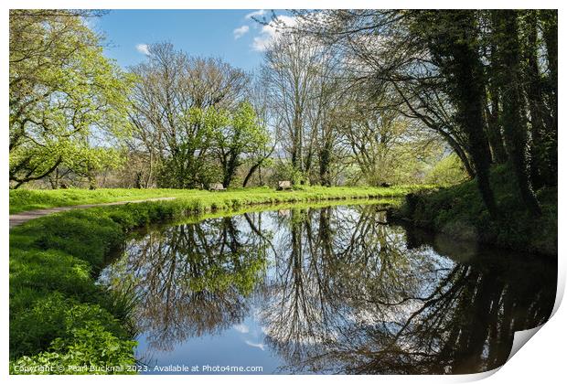 Serene Scene on Monmouthshire and Brecon Canal Print by Pearl Bucknall