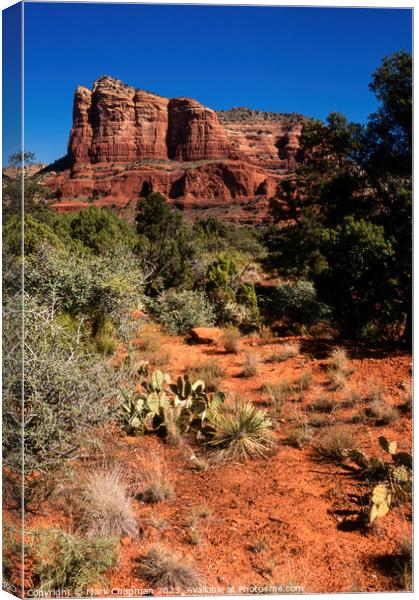 Courthouse Butte, Sedona, USA Canvas Print by Photimageon UK
