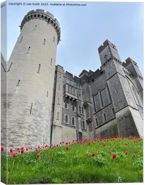 Arundel Castle Canvas Print by Lee Sulsh