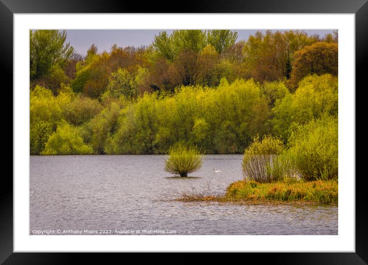 Serenity of Autumn Lake Framed Mounted Print by Anthony Moore