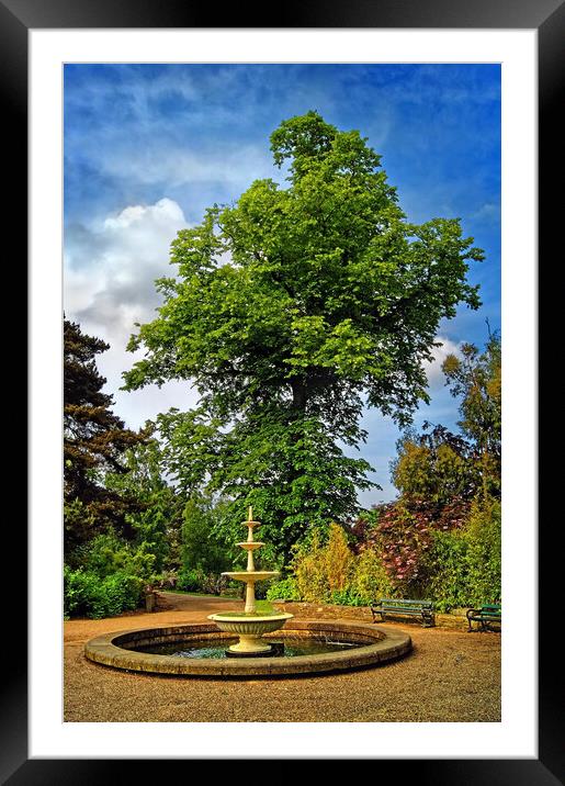 Sheffield Botanical Gardens Fountain Framed Mounted Print by Darren Galpin